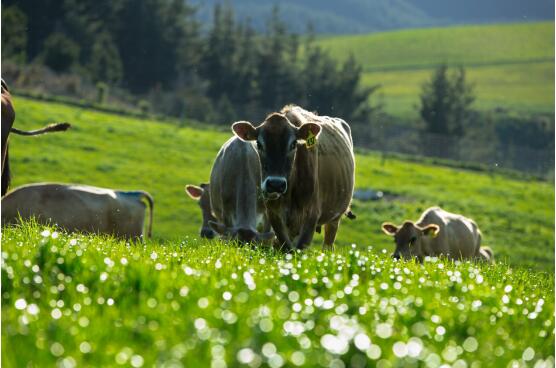 宝妈的经验之谈_育儿资讯_妈妈