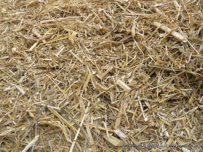 玉米秸秆和大豆秸秆怎么喂羊比较好?粉碎成面还是切段