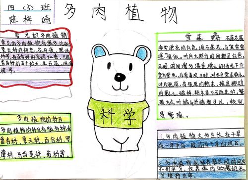 有趣的植物 手抄报