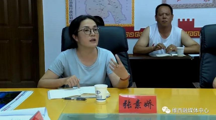 维西县召开塔城景区旅游基础设施建设规划汇报会