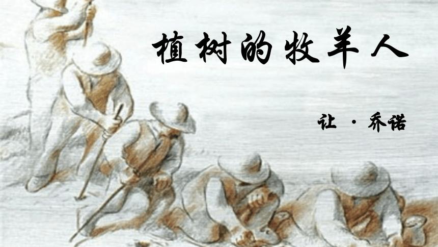 第13课植树的牧羊人课件共21张ppt