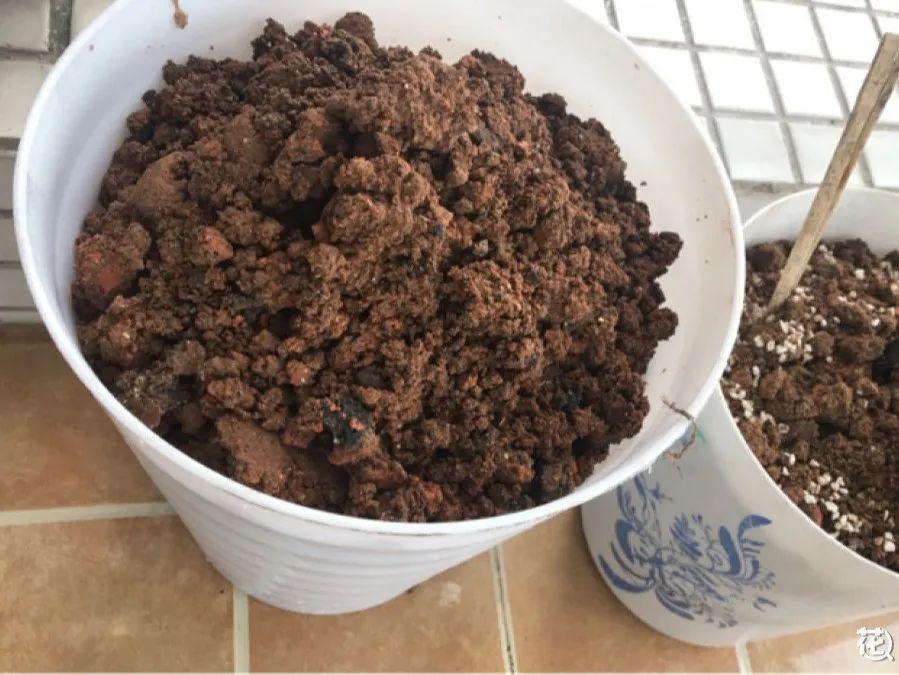 煤渣虽然高温烧过,但火气大,有粉尘,还需要多次清水淘洗处理,大概2-3