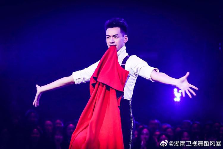 闪耀的星 — 刘迦