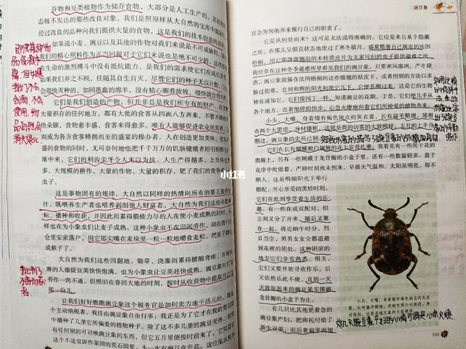 《豌豆象》读书笔记_豌豆_读书笔记_昆虫记章节批注_人文_阅读