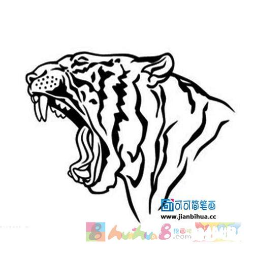 老虎头像简笔画图片