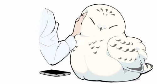 雪鸮表情包_表情包_我最爱的表情包_素材_表情包