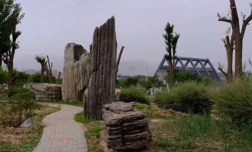 这里是原石石嘴山市大武口发电厂的一个粉煤灰场,粉煤灰储量达1100