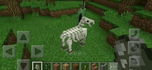 我的世界手机版骷髅马怎么驯服我的世界骷髅马驯服方法一览