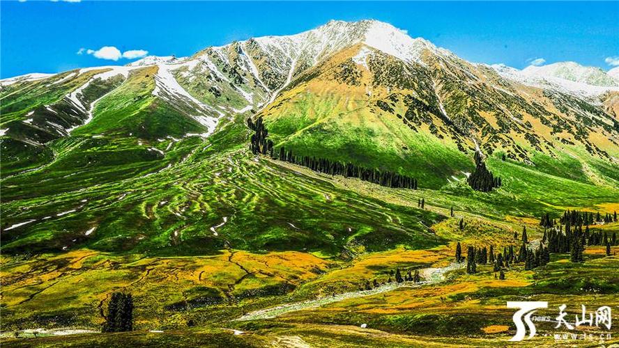 【高清组图】雪后尼勒克县唐布拉大草原让人如坠仙境
