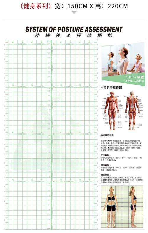 体态评估表健身矫正瑜伽背景墙脊柱工作室人体站姿体测图体姿表格黑色