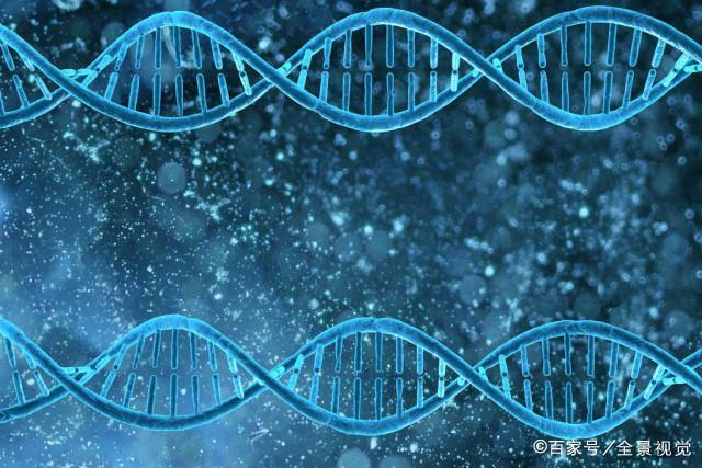 把记忆储存在dna中?科学家突破瓶颈!