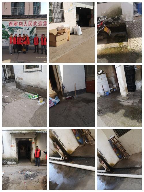 建设美丽义乌促进会走进福田街道思古塘村和西罗店村