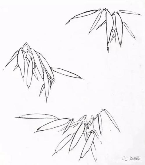 接下来就是画竹叶了,同样是双勾叶,先画左线,再画右线,先把竹子的叶子