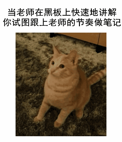 猫咪做笔记gif动图_动态图_表情包下载_soogif