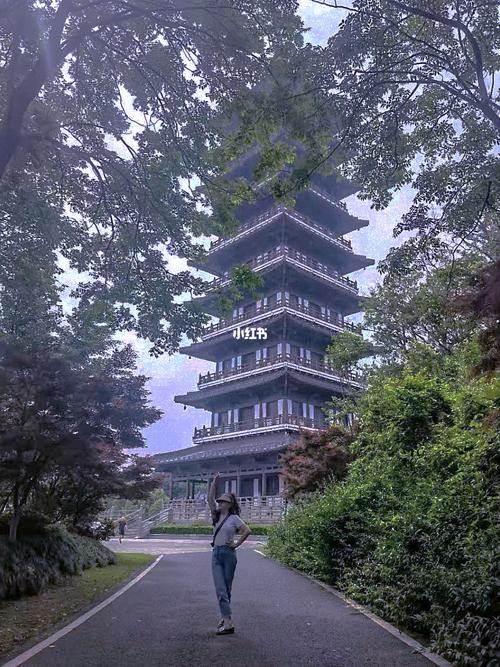 宜兴·龙背山森林公园_宜兴_森林_宜兴龙背山森林公园