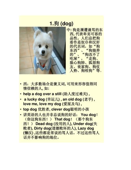 中西方对动物文化差异.doc 11页