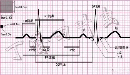 一,确定等电位线(基线)