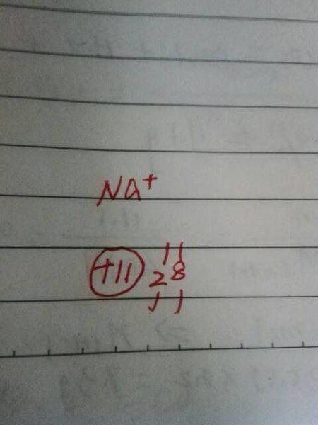 钠离子的电子排布式