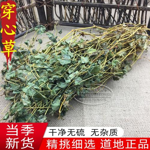 穿心草野生中药材500克包邮穿钱草顶心风狮子草串钱草干货