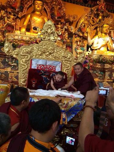 宁玛白玉寺贝诺法王转世灵童白玛诺布活佛坐床大典顺利完成!