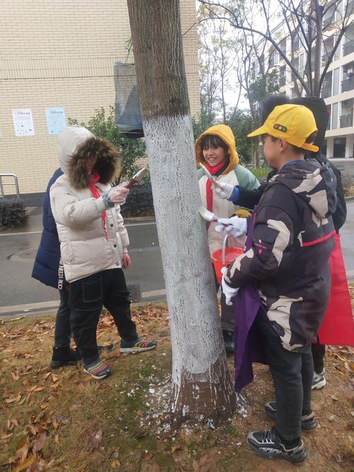 402班田园课实践活动"我为小树穿冬衣"