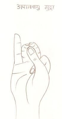 介绍一种调治高血压,心脏病的手印