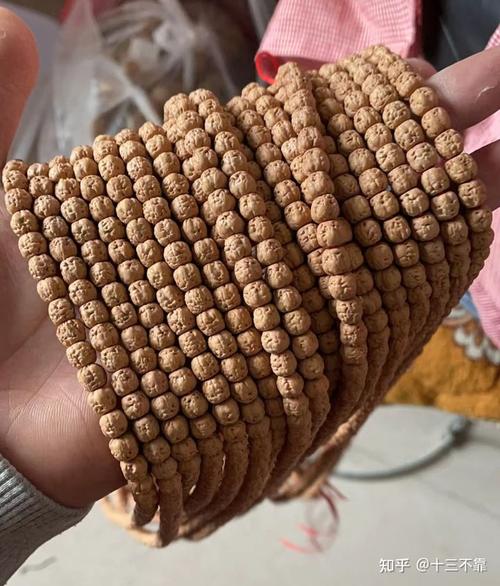 佛手小金刚和百香籽选哪个?