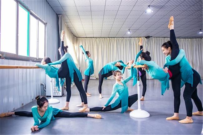 艺考舞蹈文化课中心学大哪家好