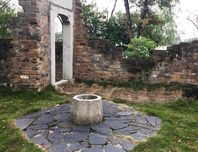 农村古井里,常能看到"水井鱼",咋回事?专家给出合理