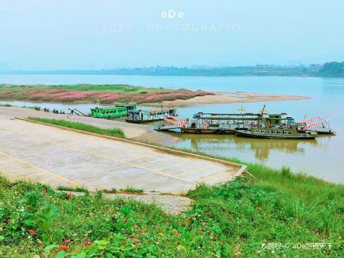 砚洲岛景区旅游攻略之景点11共14页