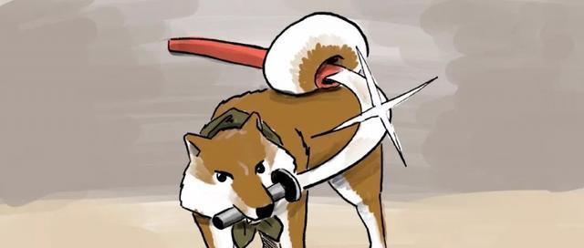 柴犬界的带刀武士拔刀动作帅翻网友