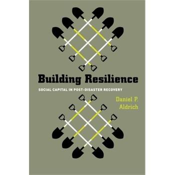 building resilience: social capital in post-disaster recovery