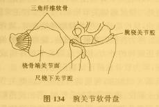 桡尺远侧关节(图134)损伤又称为下桡尺关节分离或腕三角纤维软骨