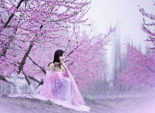 梦入桃花源