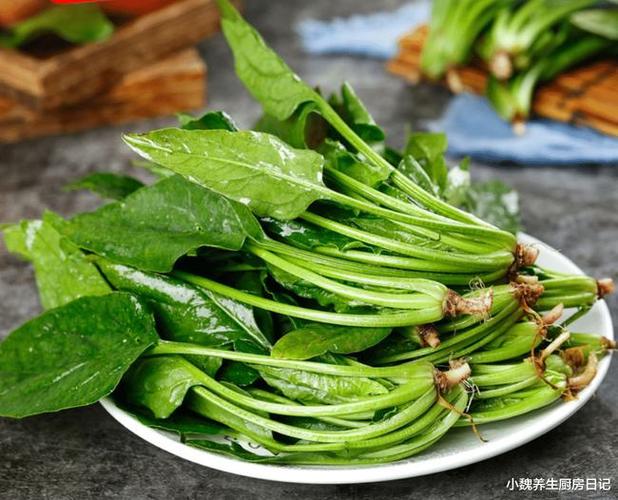 买菠菜,原来"尖叶"和"圆叶"区别这么大,别再买错了
