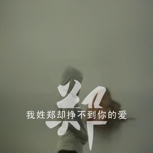 我姓郑却挣不到你的爱,求大神帮忙制作图片,三张图