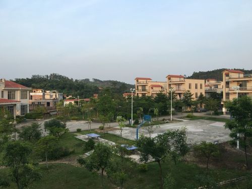 廉江市石城镇谢茂移民新村