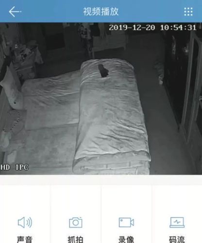 包括录像,回放,转向,甚至还有对讲功能,70元就能买300个摄像头id!