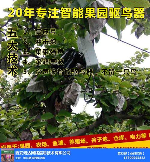 果园驱鸟器视频_【果园驱鸟器厂家】_果园驱鸟器
