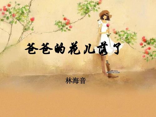 爸爸的花落了