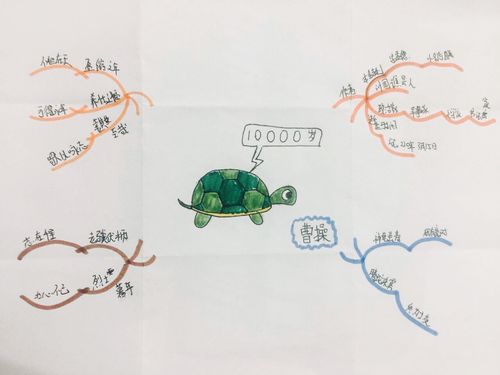《龟虽寿》思维导图