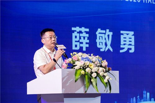 东投地产集团总裁薛敏勇