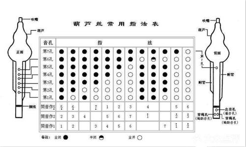 葫芦丝音阶图