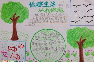 让我们每天记录自己的生活手抄报 低碳生活手抄报