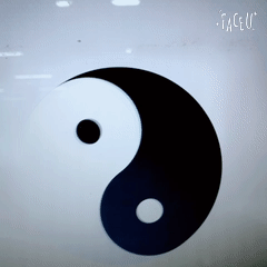 旋转的太极两仪图