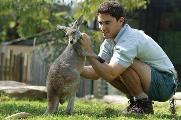 【悉尼动物园】悉尼塔龙加动物园门票 随上随下观光游轮
