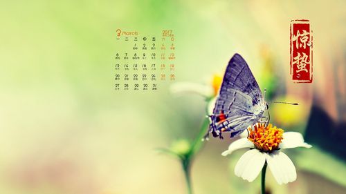 2017年3月二十四节气惊蛰简约清新日历壁纸