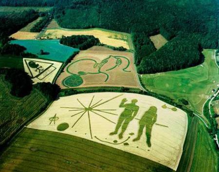 麦田怪圈的真相,跟外星人究竟有无关系?科学家:难说