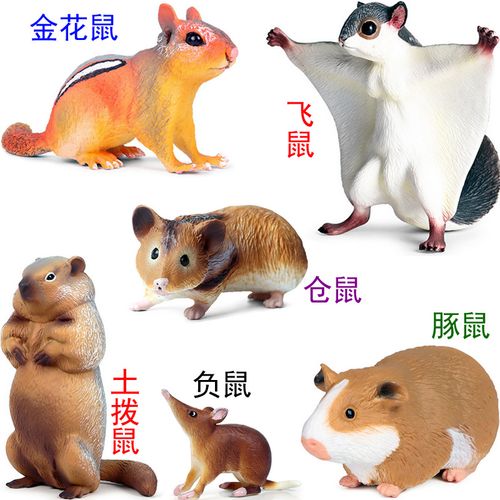 一折鼹鼠_鼠类动物仿真模型豚鼠天竺鼠仓鼠金花栗鼠旱獭土拨鼠负鼠