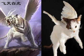 谁有飞虎的图片?老虎身上长着翅膀!